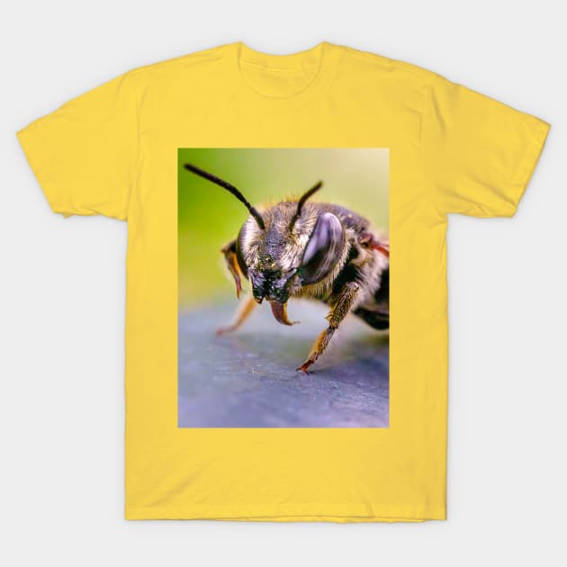 Good Doggy! Macro Insect Photograph T-Shirt by love-fi